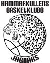 HAMMARKULLENS BASKET