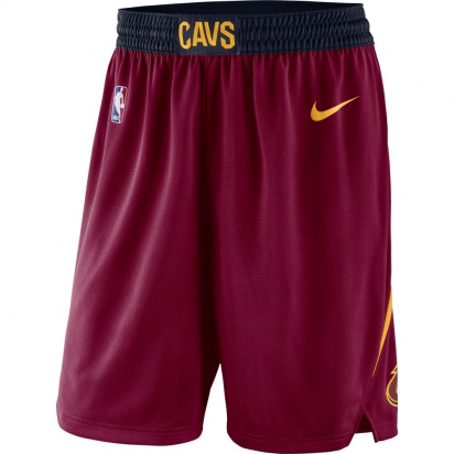Cavaliers Icon Swingman Short