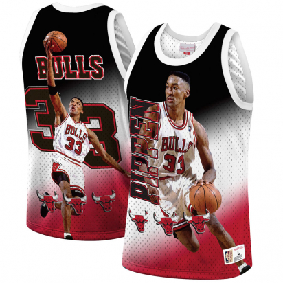 Bulls-Pippen 