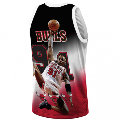 Bulls-Rodman 