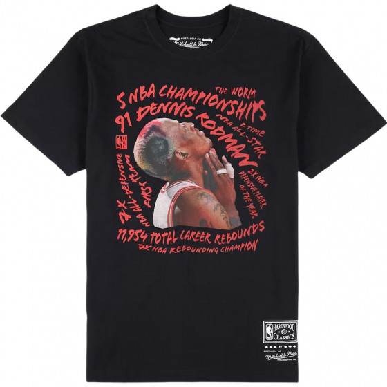Bulls Rodman Abstract
