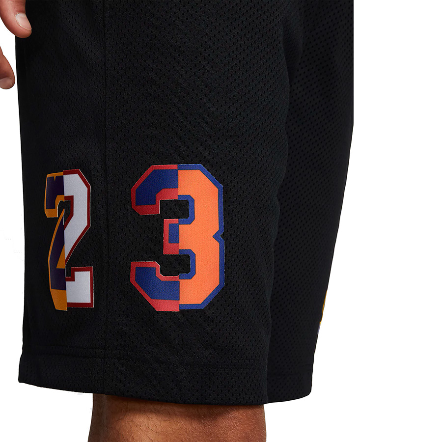 jordan shorts dna