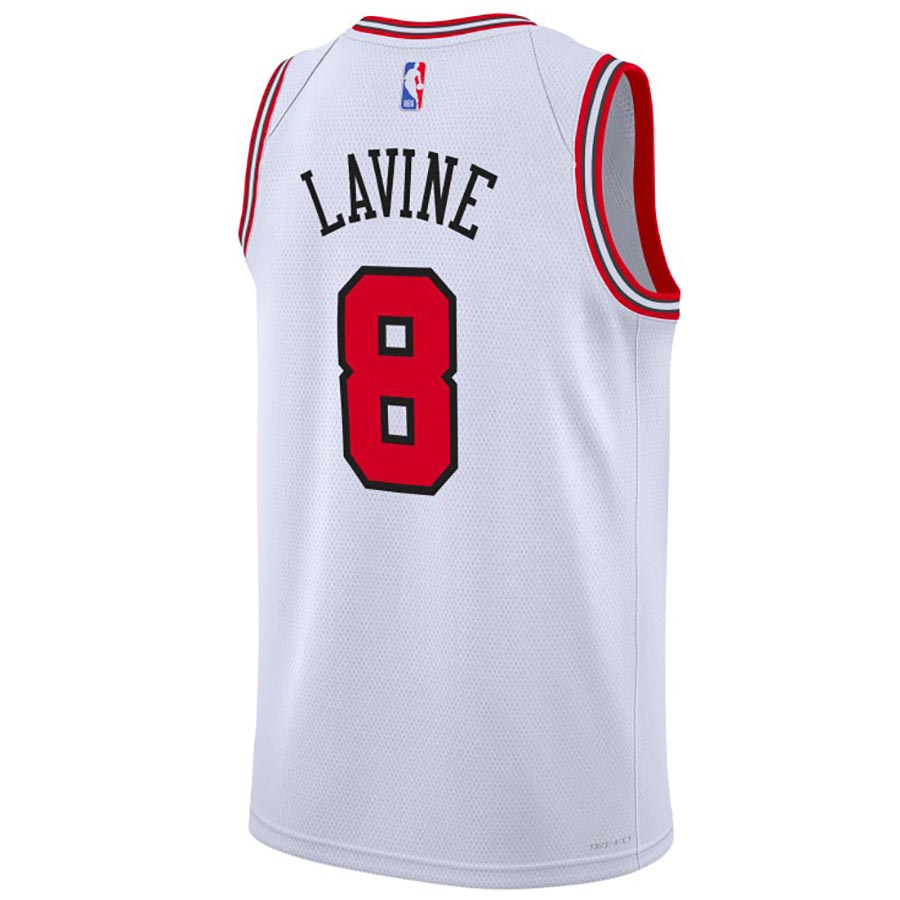 Bulls Swingman-Lavine Jr