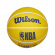 NBA Dribbler Bounce Ball Warriors