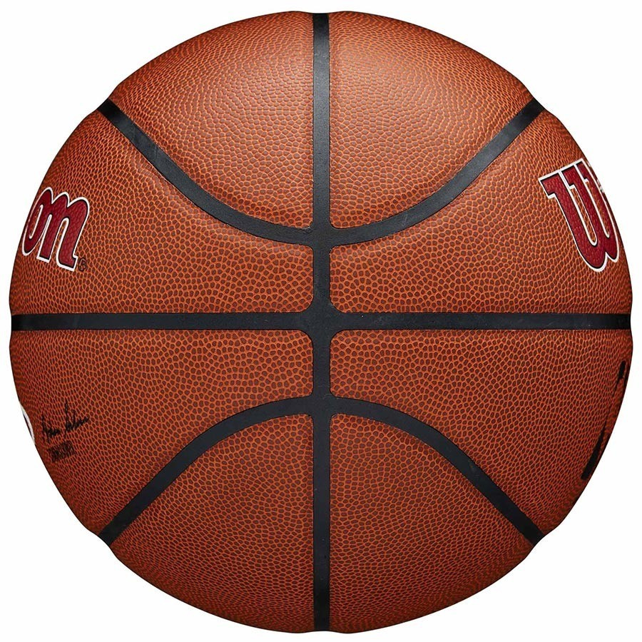 NBA Team Alliance Pistons (7)