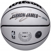 LeBron UV Player Icon (7) LeBron UV Player Icon (7)