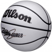 LeBron UV Player Icon (7) LeBron UV Player Icon (7)