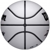 LeBron UV Player Icon (7) LeBron UV Player Icon (7)