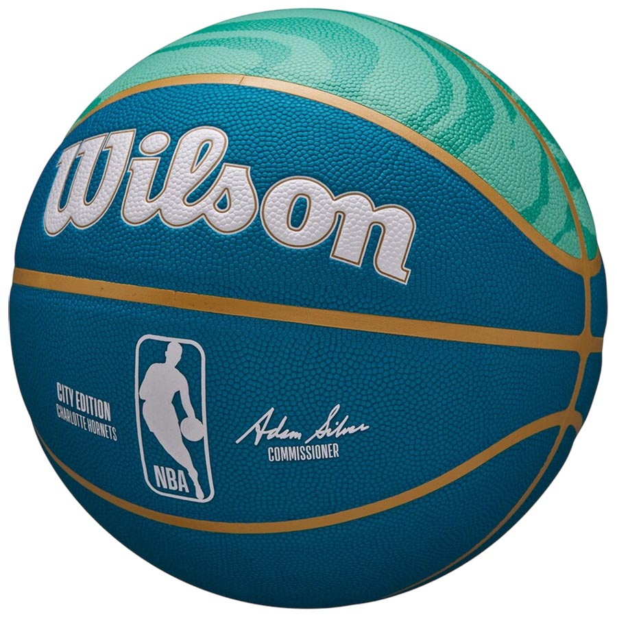 NBA Hornets City Collector (7)