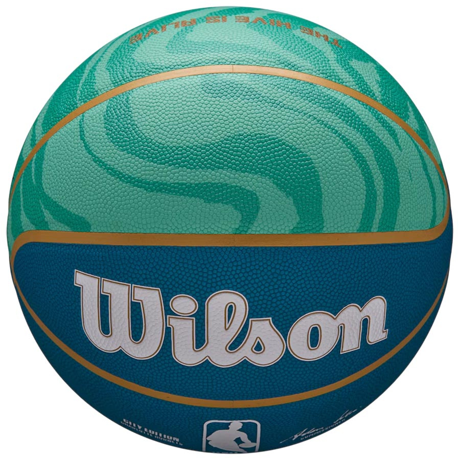 NBA Hornets City Collector (7)
