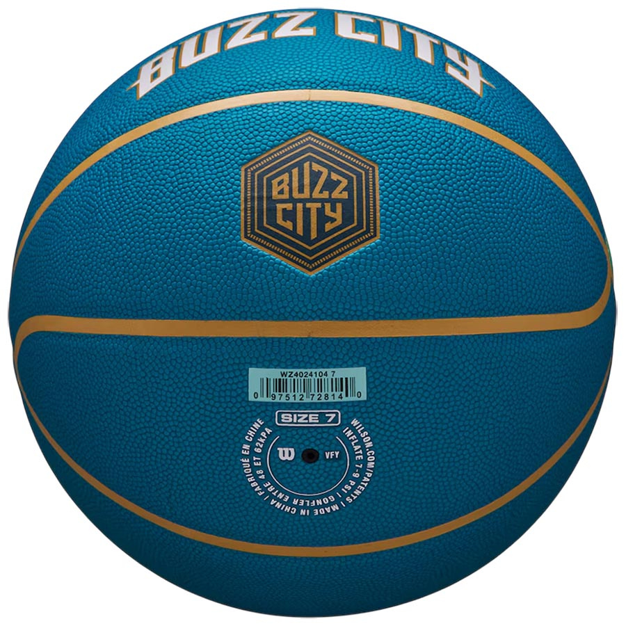 NBA Hornets City Collector (7)