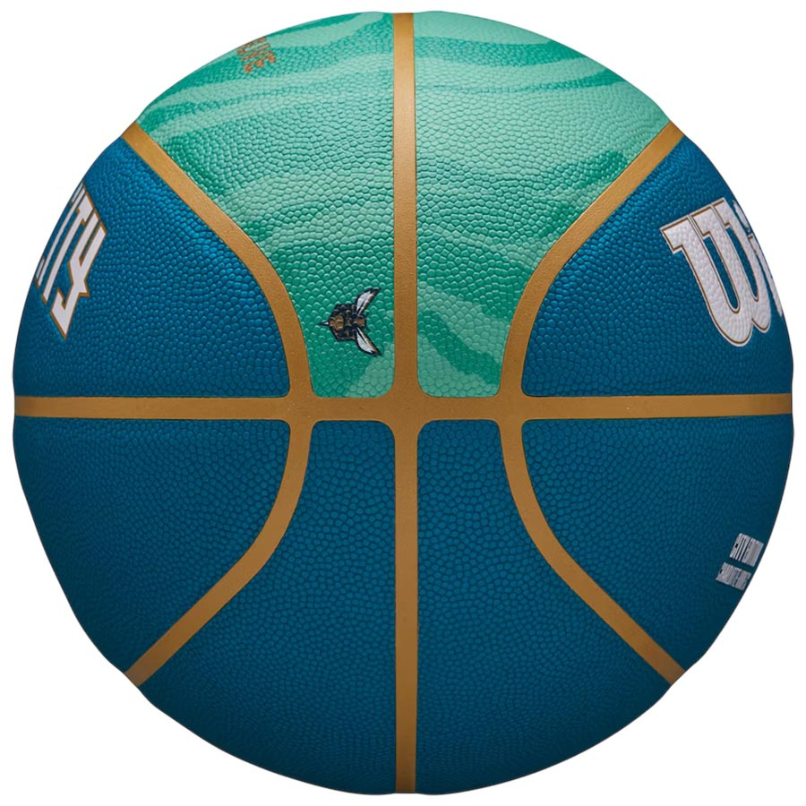 NBA Hornets City Collector (7)