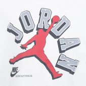 Jordan Varsity Jumpman Jr