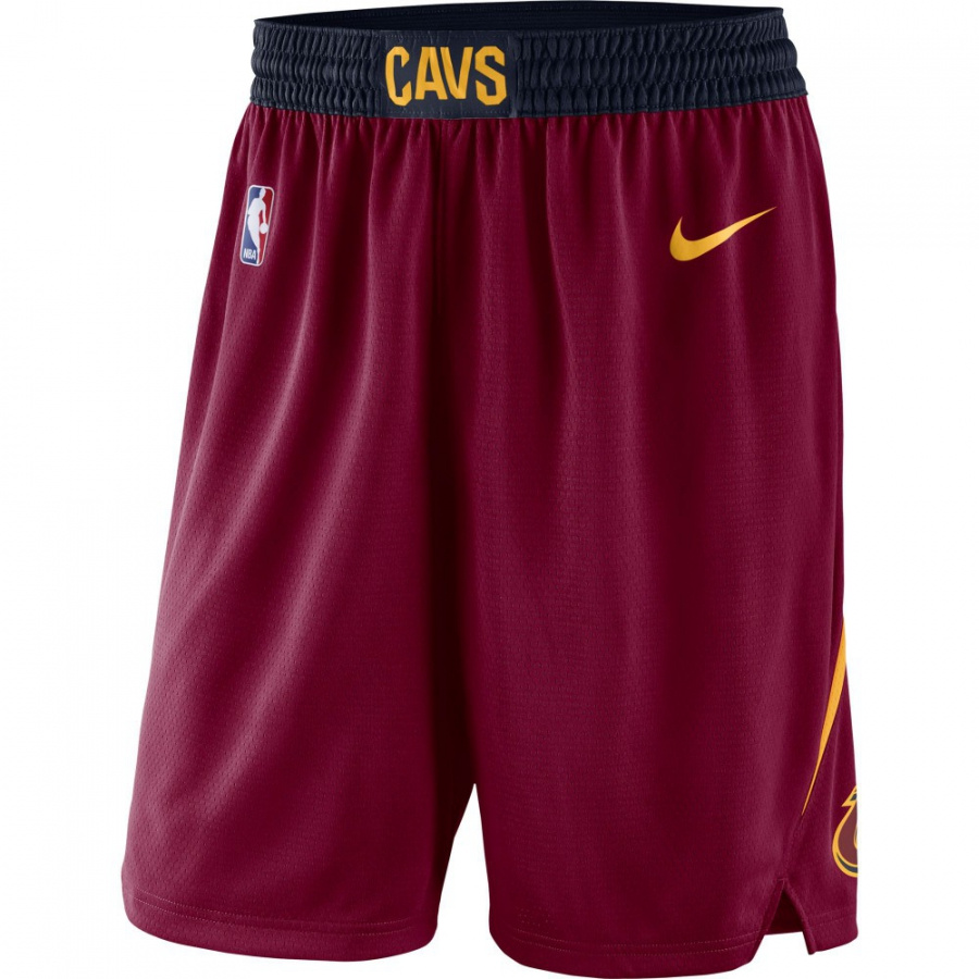 Cavaliers Icon Swingman Short