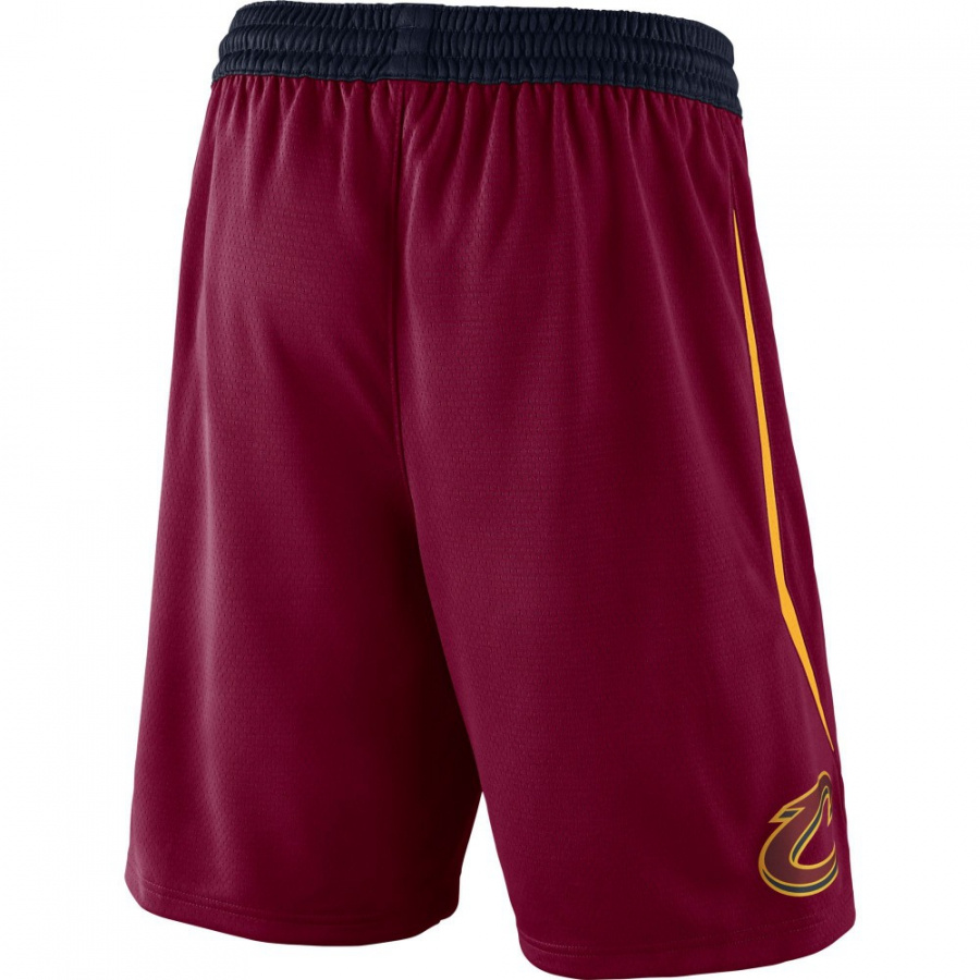 Cavaliers Icon Swingman Short