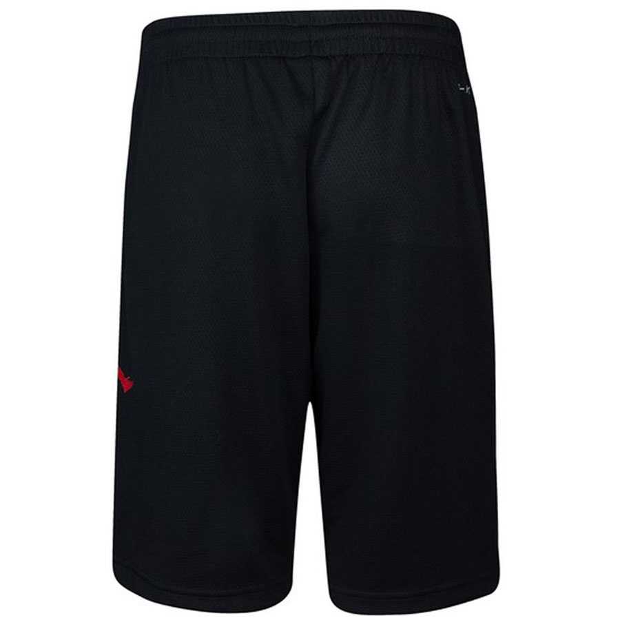 Jordan Dri-Fit Mesh Short Jr