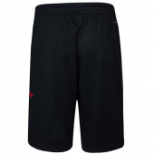 Jordan Dri-Fit Mesh Short Jr Jordan Dri-Fit Mesh Short Jr