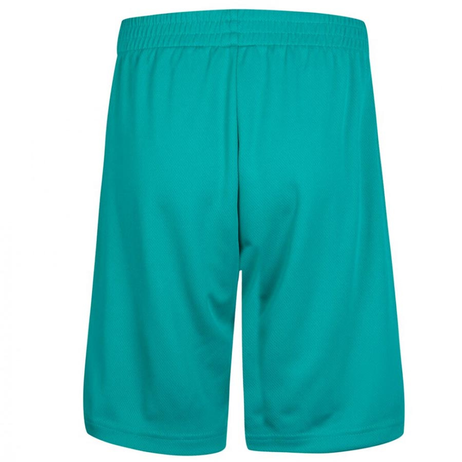 Jordan Jumpman Mesh Shorts Jr