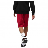 Jordan Dri-Fit Mesh Shorts Jr Jordan Dri-Fit Mesh Shorts Jr