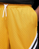 Jordan Jumpman Diamond Shorts Jr Jordan Jumpman Diamond Shorts Jr