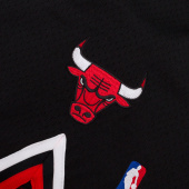Bulls Authentic Shorts 97-98