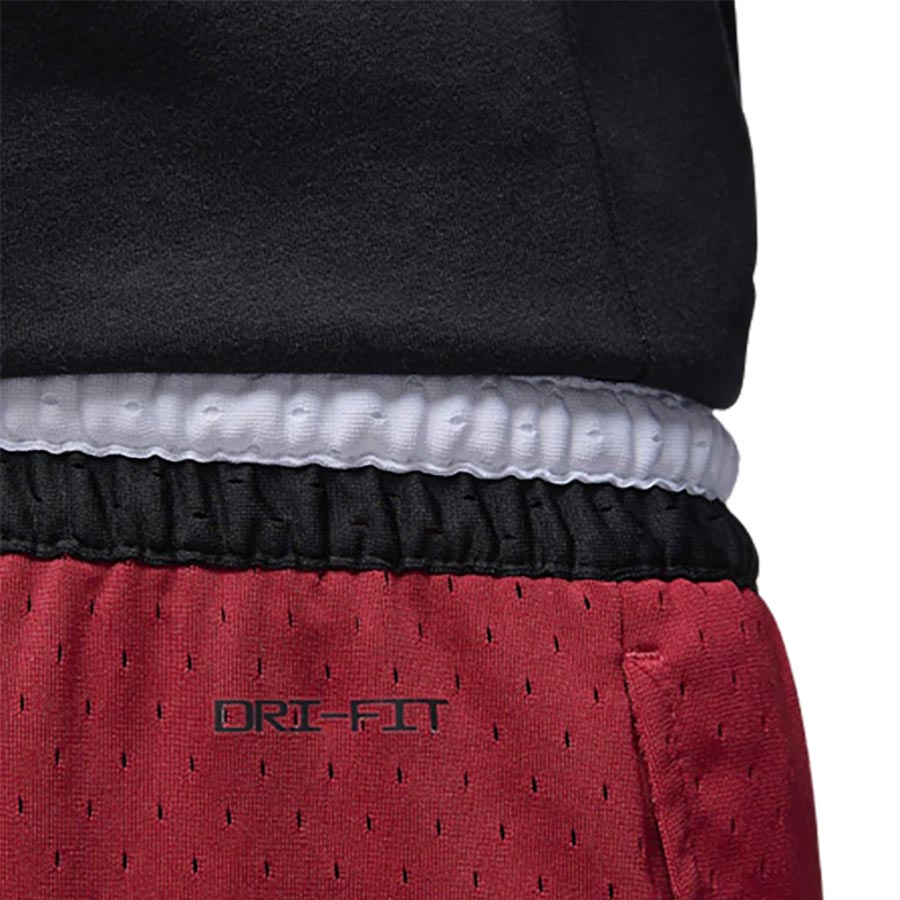 Jordan Dri-Fit Sport Shorts