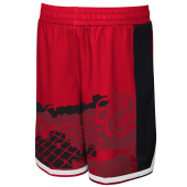 Bulls Fade Away Baller Shorts Jr Bulls Fade Away Baller Shorts Jr