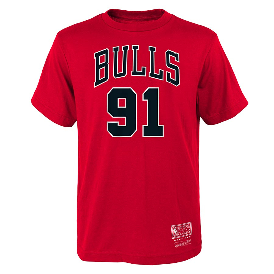 Bulls-Rodman Hardwood Classic Jr