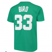 Celtics-Bird Hardwood Classic Jr