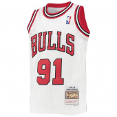 Bulls-Rodman Swingman Jr