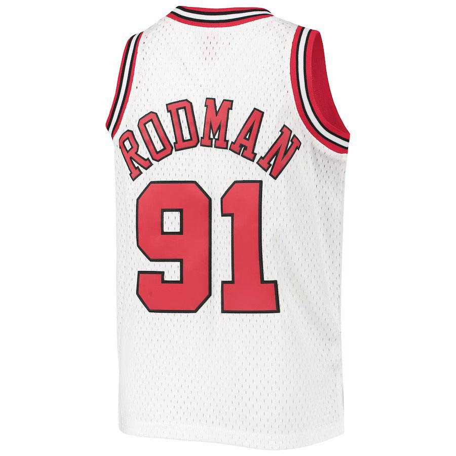Bulls-Rodman Swingman Jr