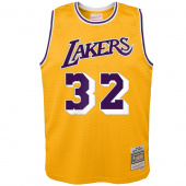 Lakers-Johnson Swingman Jr