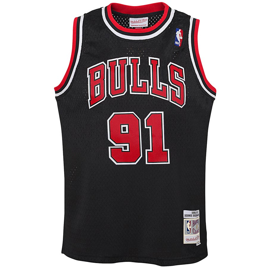 Bulls-Rodman Swingman Jr