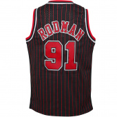 Bulls-Rodman Swingman Jr