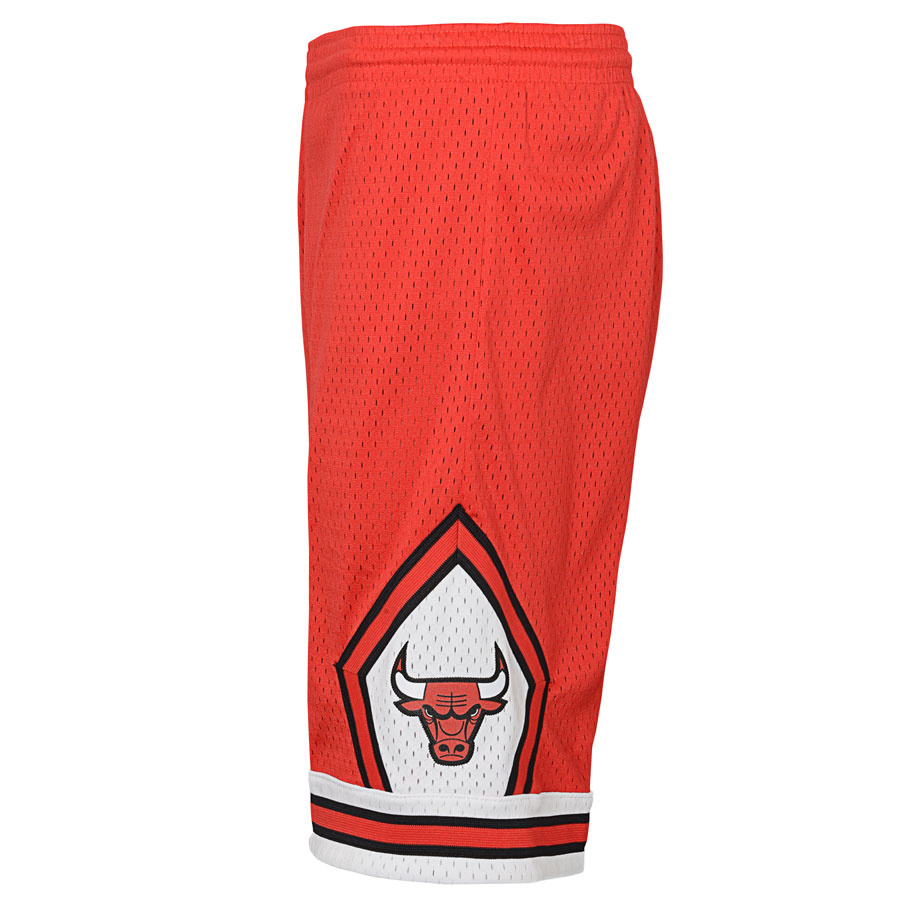 Bulls Swingman Shorts Jr