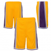 Lakers Swingman Shorts Jr