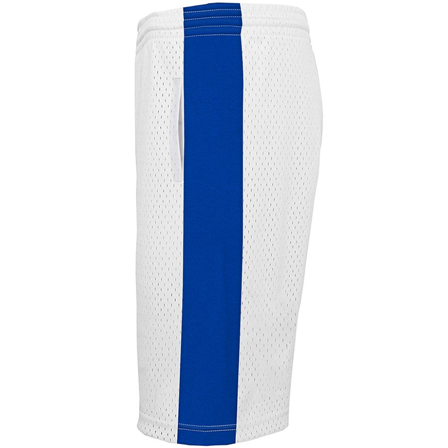 Raptors Swingman Shorts Jr