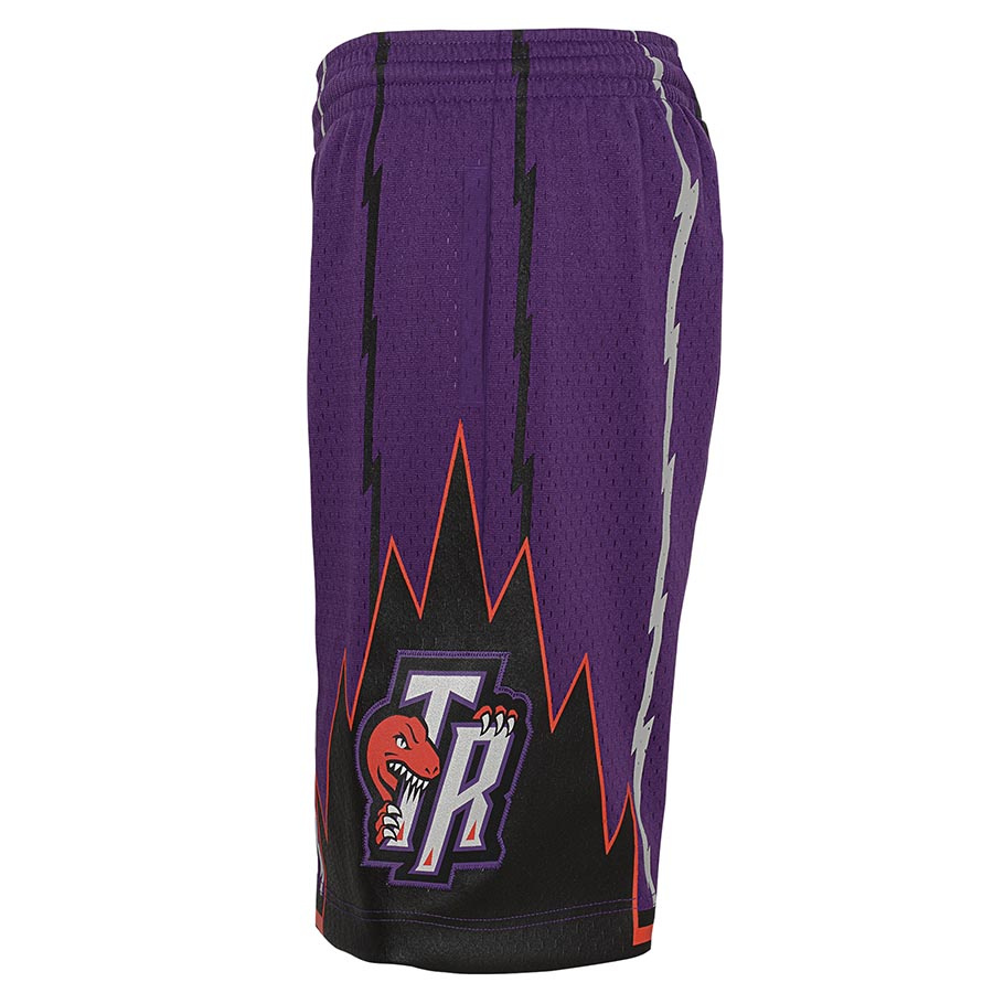 Raptors Swingman Shorts Jr