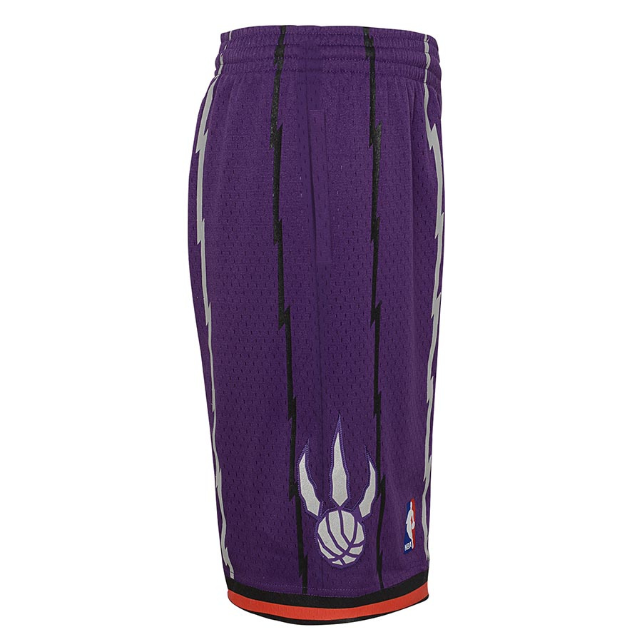 Raptors Swingman Shorts Jr