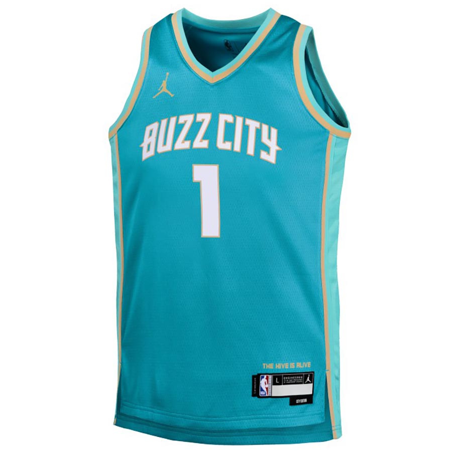 Hornets Swingman-Ball Jr