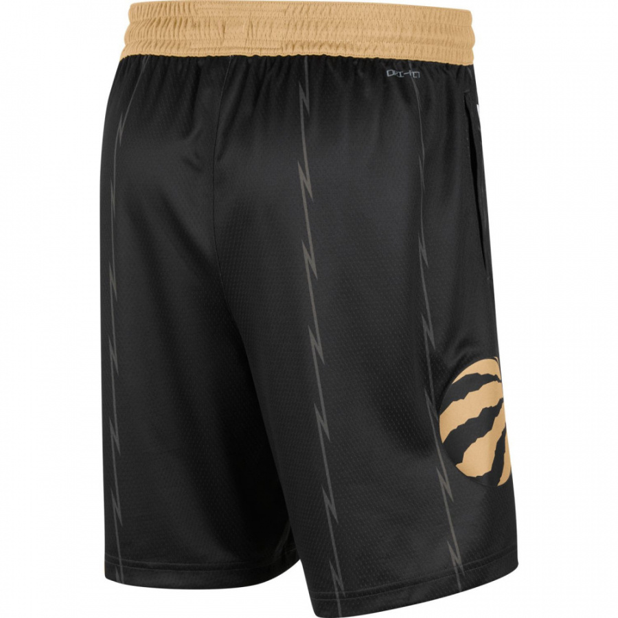 Raptors Swingman Shorts Jr