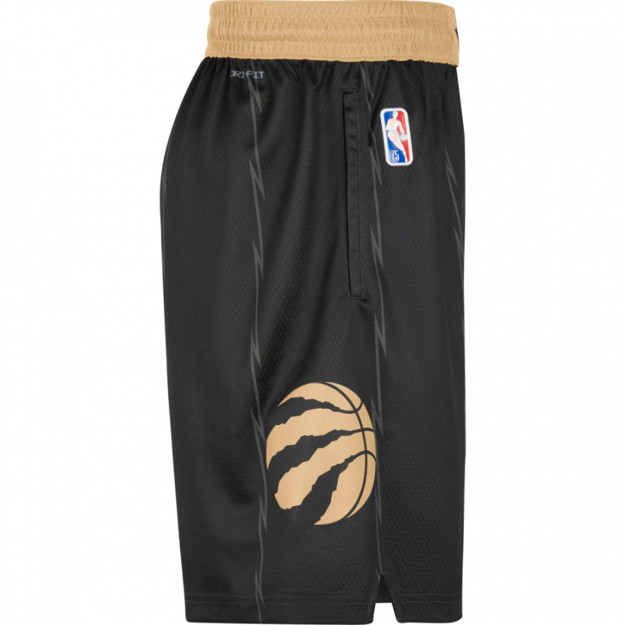 Raptors Swingman Shorts Jr