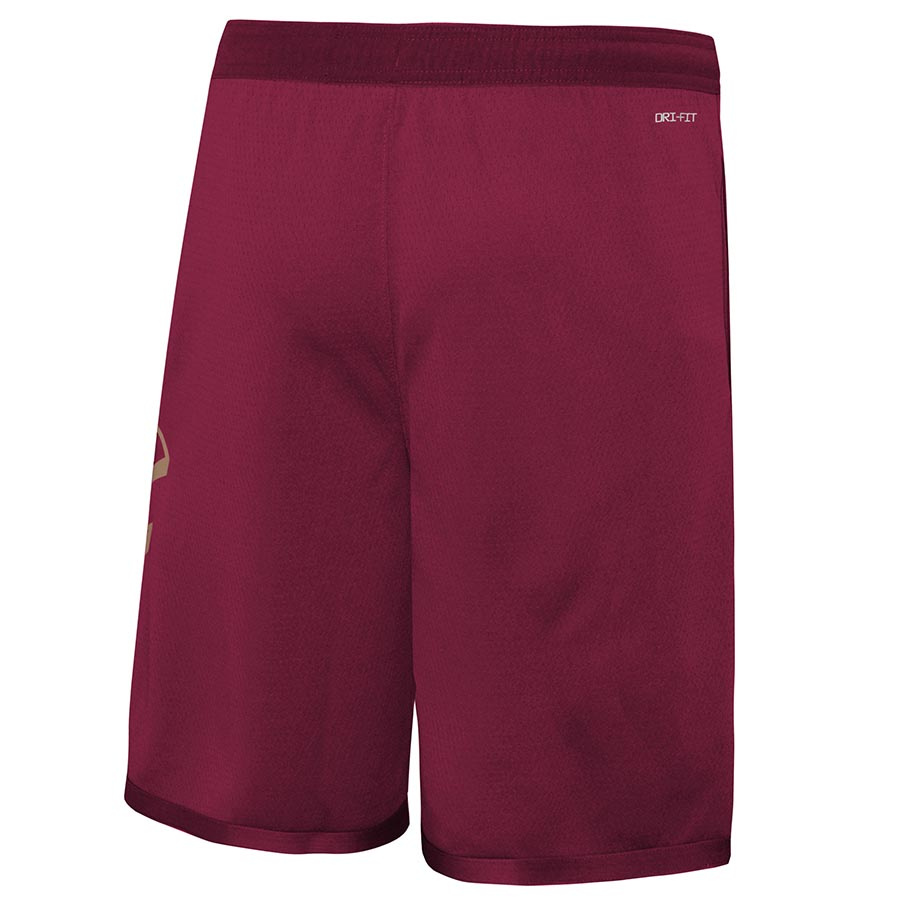 Cavaliers Swingman Shorts Jr
