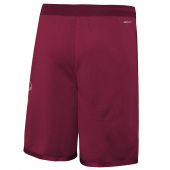 Cavaliers Swingman Shorts Jr Cavaliers Swingman Shorts Jr