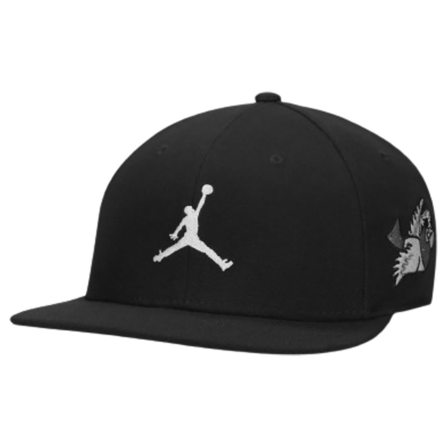 Jordan Pro Snapback