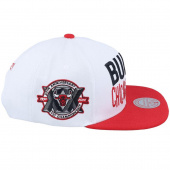 Bulls Snapback Bulls Snapback