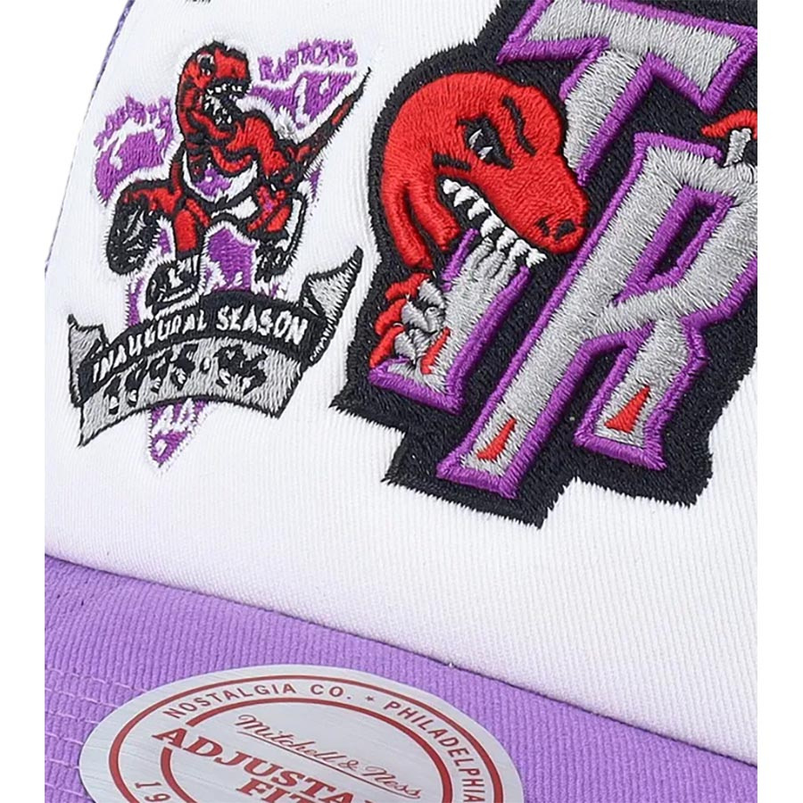 Raptors Trucker Snapback