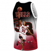 Bulls-Pippen  Bulls-Pippen