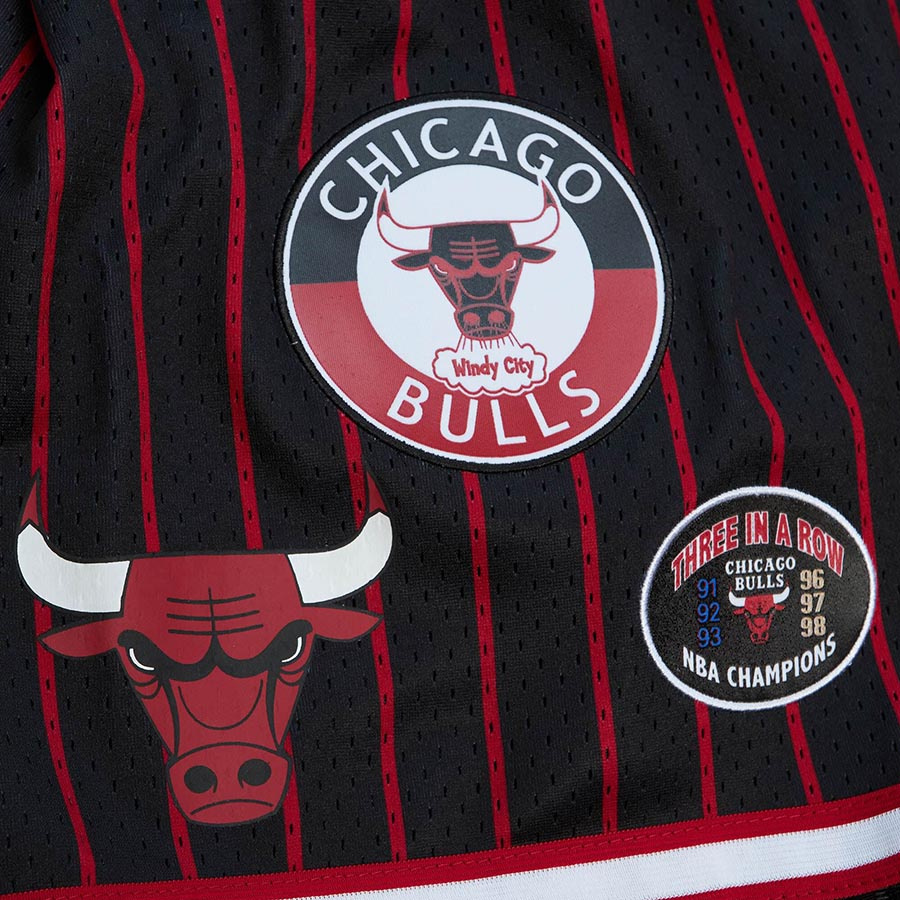 Bulls City Collection Shorts