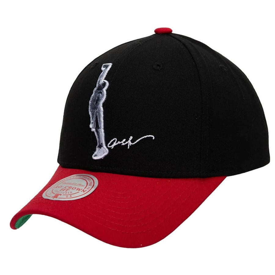 76ERS-Iverson Snapback